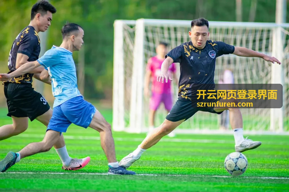 开云网页登录界面的账号安全与验证操作界面示意