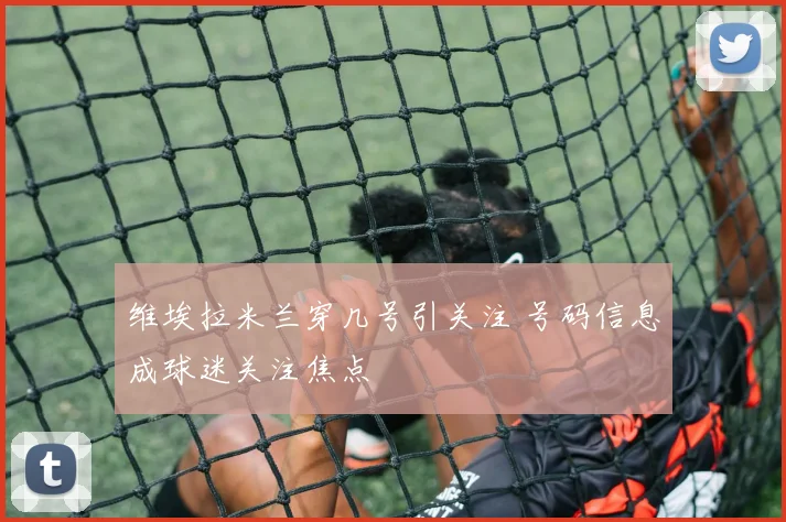 维埃拉米兰穿几号引关注 号码信息成球迷关注焦点