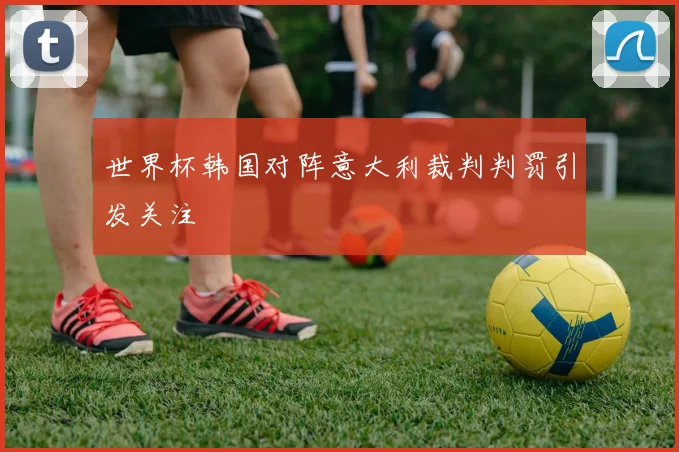 世界杯韩国对阵意大利裁判判罚引发关注